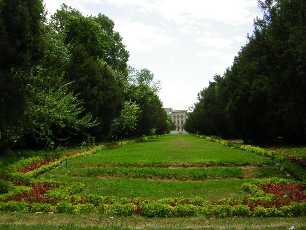 Royal Palace -center By Ale Appartamento Bucarest